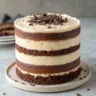 Ein aufgeschnittener Schokoladen Vanille Schichtkuchen mit deutlich sichtbaren Schichten aus Schokoladen- und Vanilleteig, serviert auf einem Holztisch